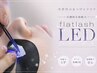 【LED】LED × flat lash 120本 ¥7500