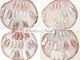 ドルチェネイル(Dolce.Nail)の写真/【人気No.1!!350種以上★Dolceコース】トレンド～定番まで豊富にご用意☆カラーチェンジ&パーツアレンジOK!