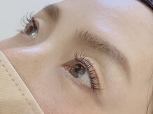 エクラ(Eclat)/フラットマットラッシュ120本