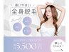 【初回限定】全身脱毛(顔またはVIO込)　¥11,000→¥5,500