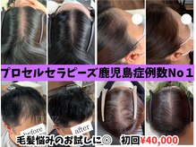 フェリス(FELIZ)