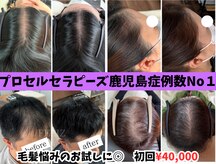 フェリス(FELIZ)