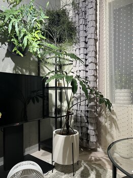 自然美人/待合室＊おしゃれ空間