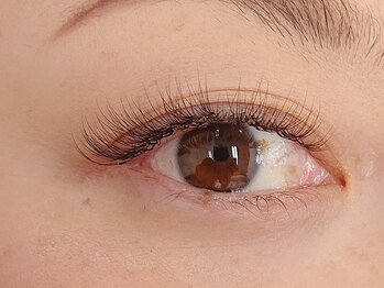 パティオアイラッシュ(Patio eyelash)/3Dレイヤー