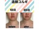 ルース(LUCE)の写真