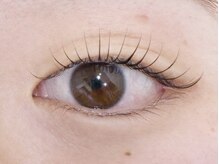 リーベ 高槻(Liebe)/☆まつ毛パーマ(ナチュラル)