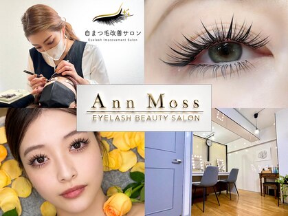 アンモス(Ann Moss)の写真
