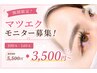 【期間限定】マツエクモニター募集!100本~140本 5500円→3500円~