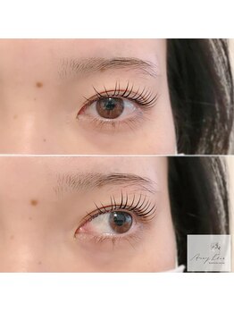 アマリリス(Amaryllis)/