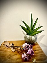 アンジール(ANJIR)/