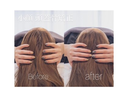 ディプティ モイラ(dipty MOILA)の写真