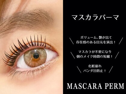 モルレーヴ(MOLREVE)の写真