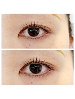 メメシー 相模原(memeshe)/ラッシュリフト/まつ毛パーマ