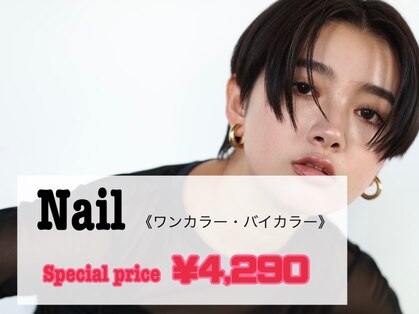 ニコ(nico…)の写真