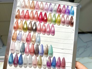 ラ レオ ネイル(La Leo Nail)/50色以上♪マグネットネイル