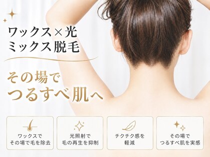 シェリラ(cherela)の写真