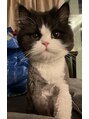 ジィール 那覇泉崎店(JIIL)&nbsp;猫。