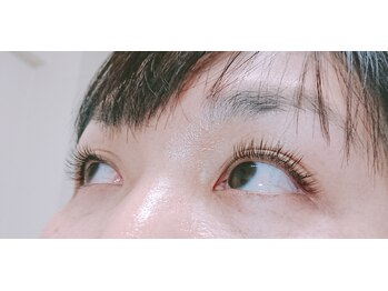 ベイビーズ ブレス(Baby's breath)/フラットラッシュ140本