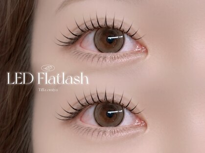 ティファ 大宮(Tiffa)の写真