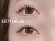 ティファ 大宮(Tiffa)の写真