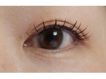 ジャポネスク(JAPONESQUE)/束感マツエク