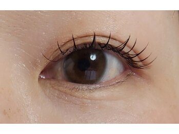 ジャポネスク(JAPONESQUE)/束感マツエク