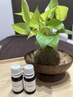 【心身不調改善】アロママッサージ＆足裏＆ヘッドスパ130分￥14000→￥12800