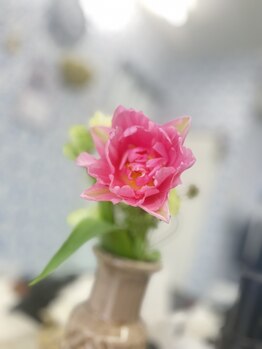 マシュマロハンド/よもぎ蒸し/冷え/むくみ改善