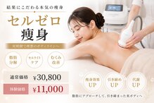 エアージーモ(Air Gmo)
