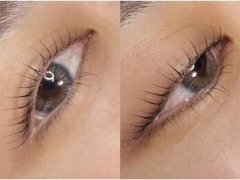 ビーエルティー(blt)/上下パーマ