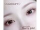 マリーゴールド(Marry gold)の写真