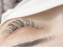 ルネッタ(Lunetta)/フラットラッシュ　100本