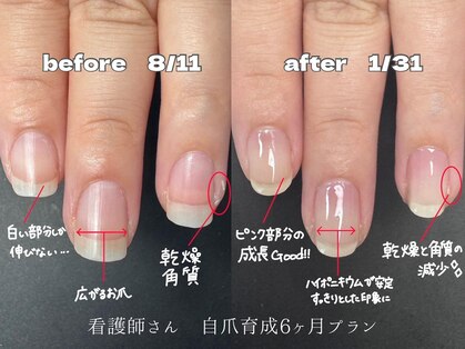 ココ(COCO)の写真