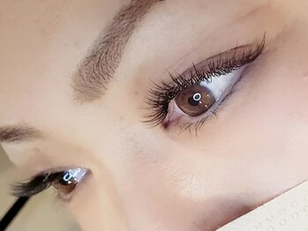 バンブー(bamboo)/フラットラッシュ