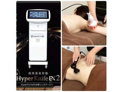 マジョラム(Marjoram)の写真