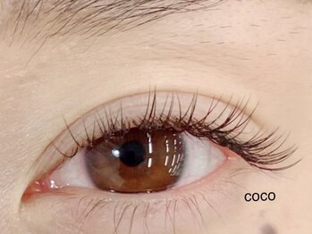 ココ(COCO)/セーブル120