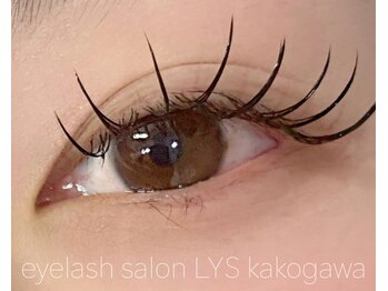 リス(Lys)/フラットラッシュ120本