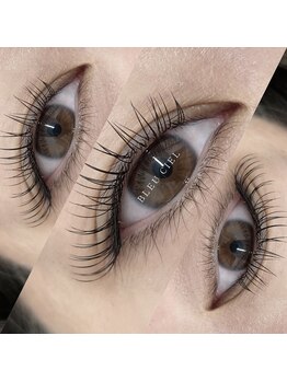 ブルーシエル(BLEU CIEL)/フラット120本