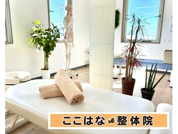 ここはな整体院/