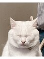 フォルトゥノ マークイズ静岡店(Fortuno)&nbsp;猫4匹います(=^x^=)