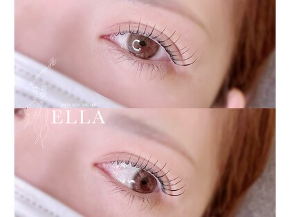 エラ(ELLA)の写真