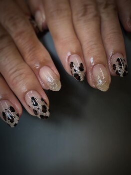 ジャミーラゾフル(Jamila-zohr)/レオパード×フラッシュ