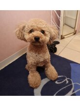 ベルネイル(Belle Nail) COCO