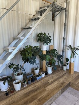 ココテラス(COCO TERRACE)/