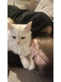 サリーエミリー(Sally Emiry)&nbsp;家にいる時は猫と戯れてます(^^)