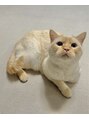 コロン(colon)&nbsp;オス猫のコロン君。保護猫です♪700gでおうちに来ました！