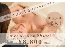 本格バストアップメニュー骨盤ストレッチ&大胸筋upメニュー付き