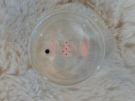 ワンホンネイル ¥6480