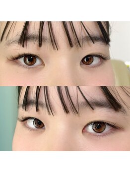 ジョリー(Jolie)/