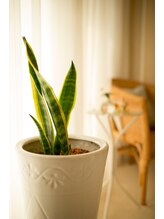 エステサロン リール/店内写真